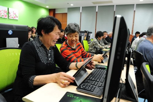 聚焦五大功能，賈煒為上海學(xué)習(xí)型城市建設(shè)注入高質(zhì)量教育咨詢服務(wù)新動(dòng)能